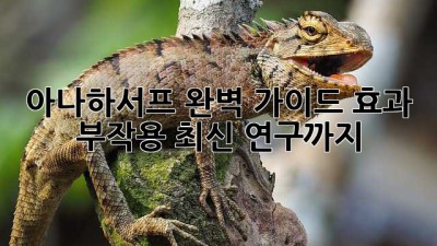 아나하서프 완벽 가이드: 효과, 부작용, 최신 연구까지